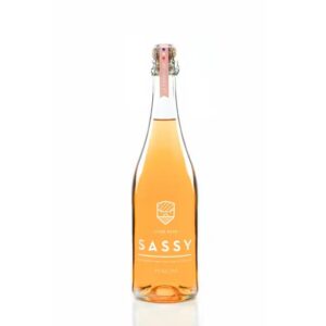 Photo d'une bouteille de cidre, présentée sur un fond blanc. Parfait en accompagnement d'un apéritif.