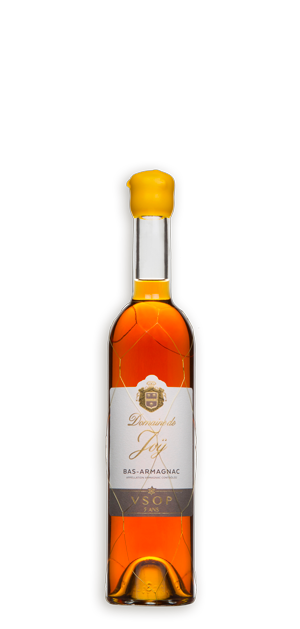 Photo d'une bouteille d'armagnac, présentée sur un fond blanc. Parfait en accompagnement d'un apéritif.