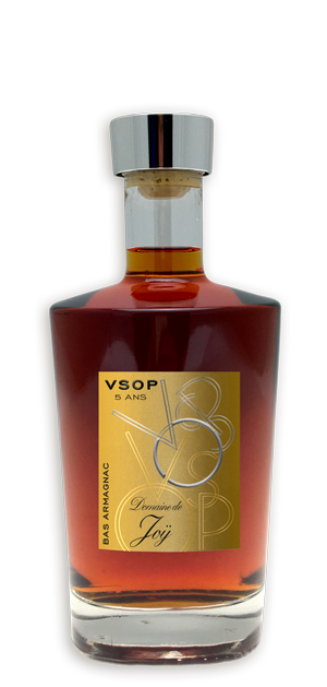 Photo d'une bouteille d'armagnac, présentée sur un fond blanc. Parfait en accompagnement d'un apéritif.