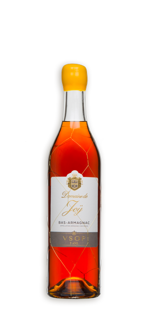 Photo d'une bouteille d'armagnac, présentée sur un fond blanc. Parfait en accompagnement d'un apéritif.