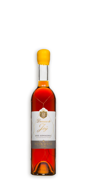 Photo d'une bouteille d'armagnac, présentée sur un fond blanc. Parfait en accompagnement d'un apéritif.