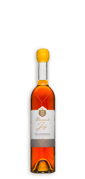 Photo d'une bouteille d'armagnac, présentée sur un fond blanc. Parfait en accompagnement d'un apéritif.