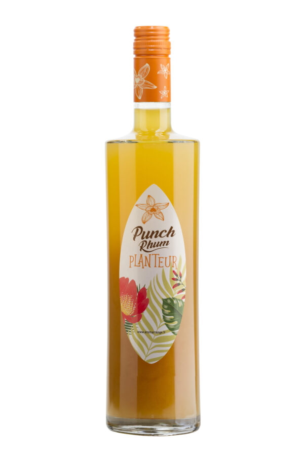 Photo d'une bouteille de rhum, présentée sur un fond blanc. Parfait en accompagnement d'un apéritif.