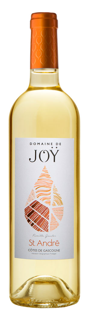 Photo d'une bouteille de vin blanc, présentée sur un fond blanc. Parfait en accompagnement d'un apéritif.