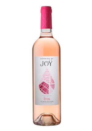 Photo d'une bouteille de rosé, présentée sur un fond blanc. Parfait en accompagnement d'un apéritif.