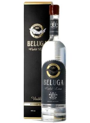 Photo d'une bouteille de vodka, présentée sur un fond blanc. Parfait en accompagnement d'un apéritif.