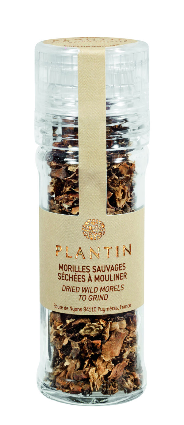 Photo d'un moulin à champignon, présentée sur un fond blanc.